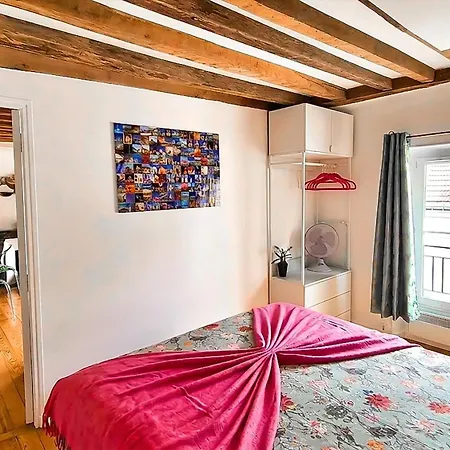 Casalionelparis Charming 1820 Flat With Ac, Elevator, Queen Bed, Near Le Louvre *